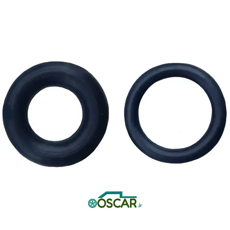 اورينگ سوزن انژکتور 405 تپل ويژن (دستي)
