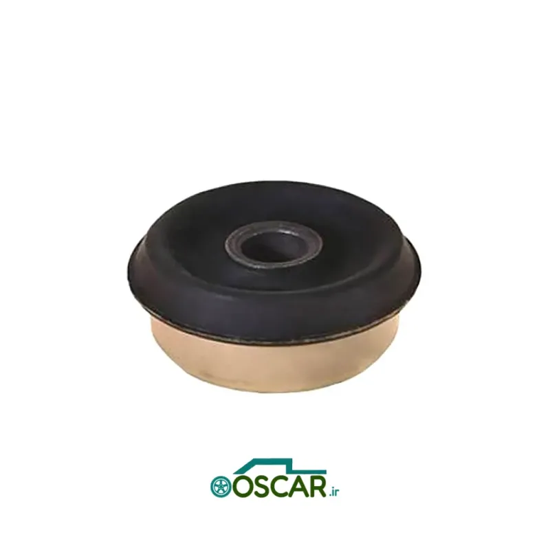 بوش اکسل عقب 405 اميرنيا (کايوچو)