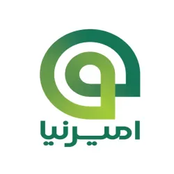 امیرنیا