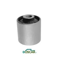 بوش دوشاخ رام 405 امیرنیا