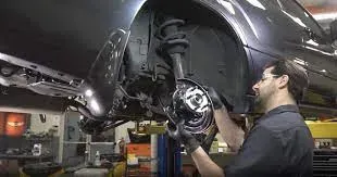 بازرسی سگدست