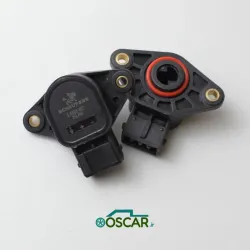 سنسور دریچه گاز طرح فلش (زیمنس) شوفرز