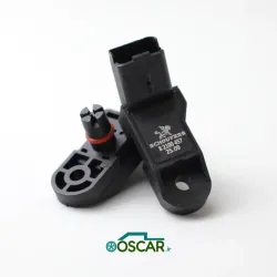 مپ سنسور 206 زیمنس شوفرز