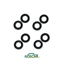 اورینگ سوزن انژکتور پراید - 405 (زیمنس) ویژن (دستی)