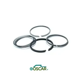 رینگ موتور 50 تیبا مارموت